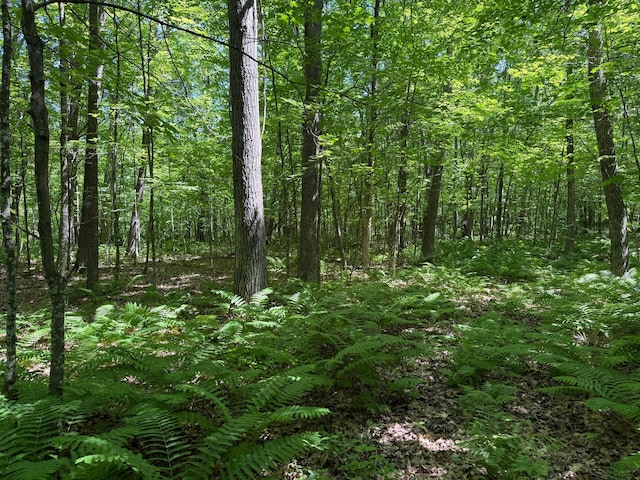 43564 Tamarack River Rd, Ogema Twp, MN 55037 - view of woods