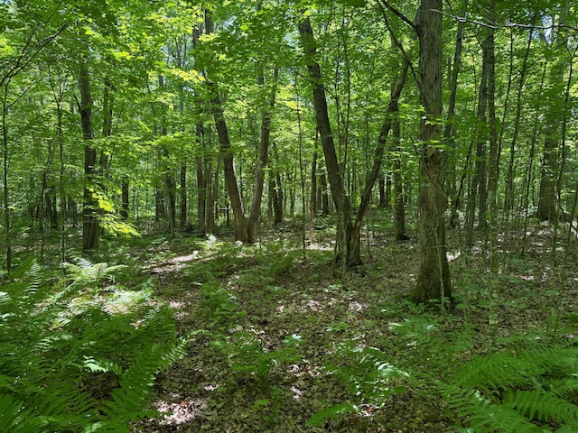 43564 Tamarack River Rd, Ogema Twp, MN 55037 - view of woods