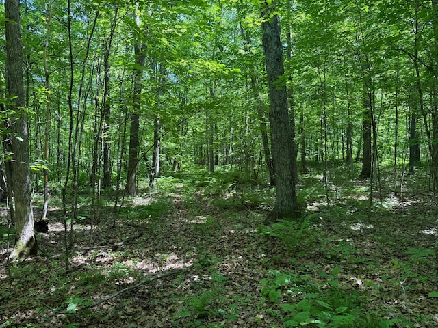43564 Tamarack River Rd, Ogema Twp, MN 55037 - view of tree filled area