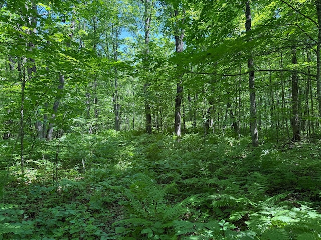 43564 Tamarack River Rd, Ogema Twp, MN 55037 - view of tree filled area