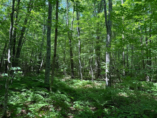 43564 Tamarack River Rd, Ogema Twp, MN 55037 - view of wooded area