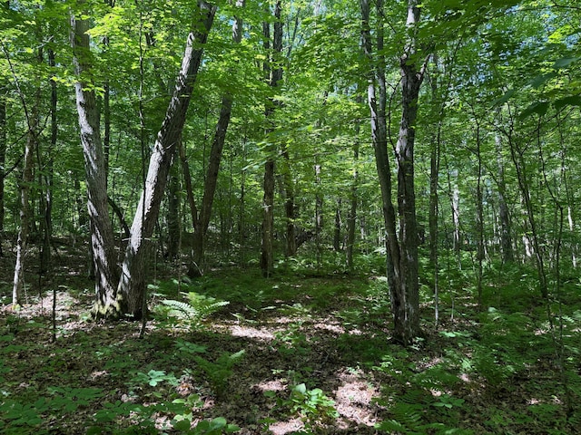 43564 Tamarack River Rd, Ogema Twp, MN 55037 - view of woods