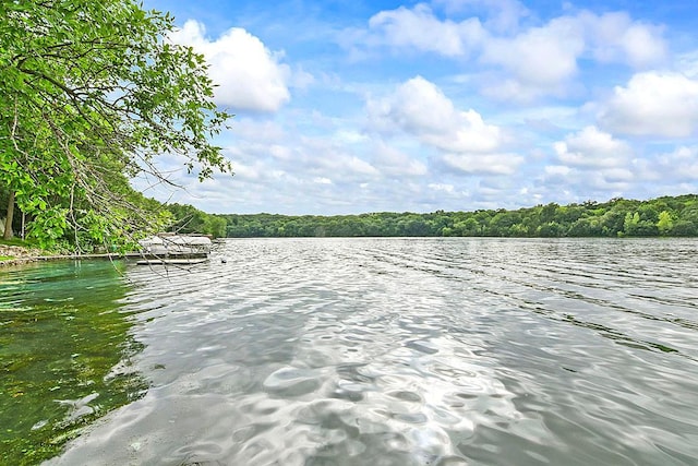 21114 Elmway Rd, Richmond, MN 56368 - water view featuring a heavily wooded area