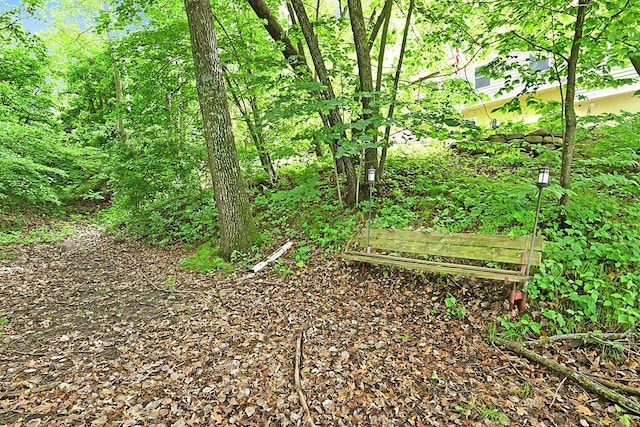 21114 Elmway Rd, Richmond, MN 56368 - view of nature