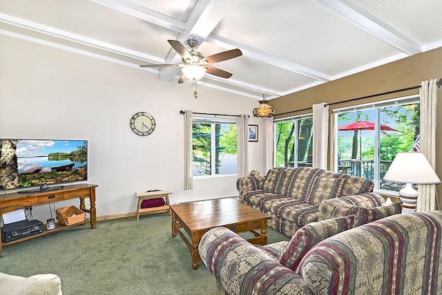 21114 Elmway Rd, Richmond, MN 56368 - living area featuring healthy amount of natural light, carpet floors, and ceiling fan
