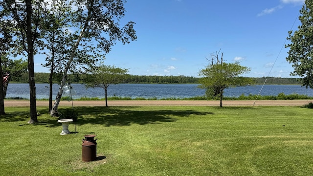 39818 257th Ave, Mcgregor, MN 55760 - photo 5
