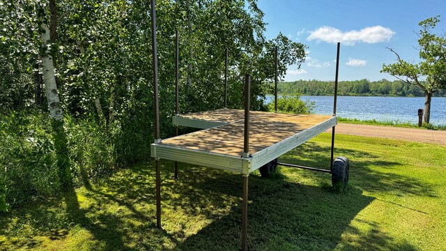 39818 257th Ave, Mcgregor, MN 55760 - photo 31
