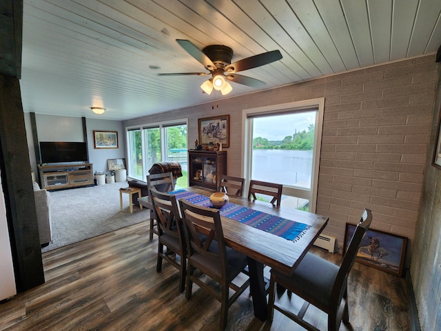 207 Mill Rd, Park Rapids, MN 56470 - dining room with wood finished floors, ceiling fan, wooden ceiling, a baseboard radiator, and a glass covered fireplace