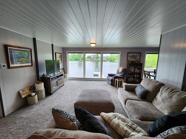 207 Mill Rd, Park Rapids, MN 56470 - carpeted living area with wooden ceiling and wood walls