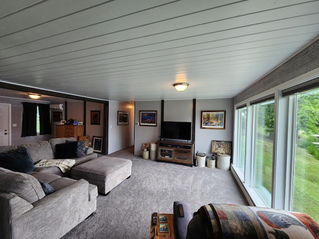 207 Mill Rd, Park Rapids, MN 56470 - view of carpeted living area