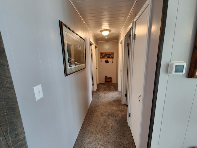 207 Mill Rd, Park Rapids, MN 56470 - corridor featuring dark colored carpet