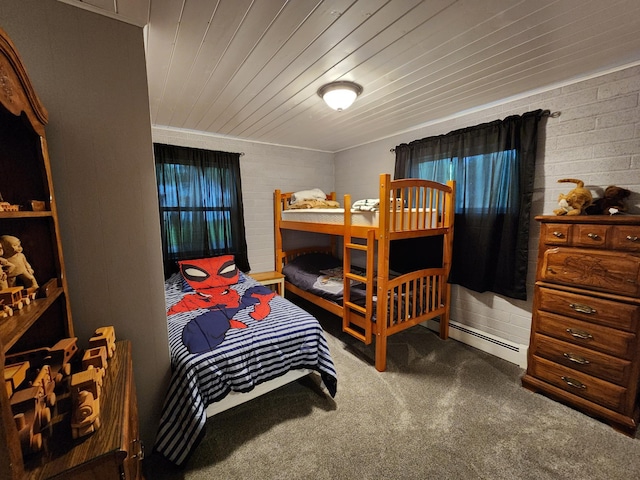 207 Mill Rd, Park Rapids, MN 56470 - carpeted bedroom featuring baseboard heating