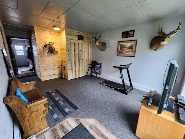 207 Mill Rd, Park Rapids, MN 56470 - exercise room with carpet