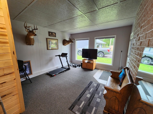 207 Mill Rd, Park Rapids, MN 56470 - workout area featuring carpet and a drop ceiling