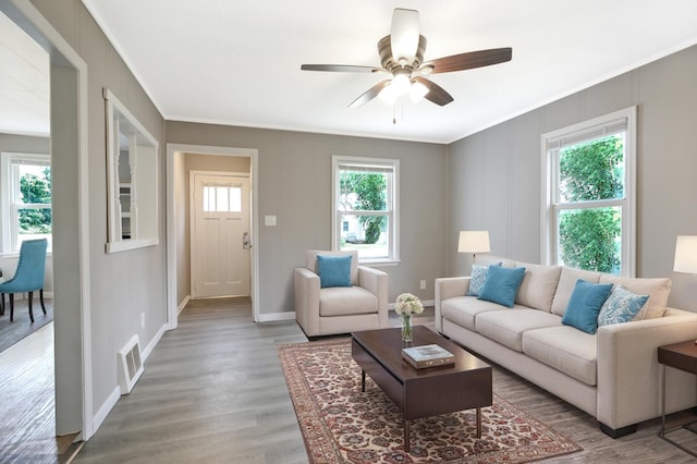 913 12th Ave SE, Austin, MN 55912 - living room with ceiling fan, ornamental molding, wood finished floors, and a decorative wall