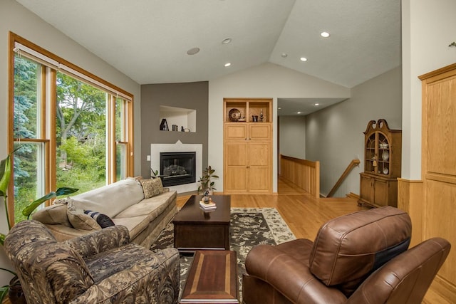 485 Preserve Path W, Saint Paul, MN 55118 - living room with wood finished floors, lofted ceiling, and a glass covered fireplace