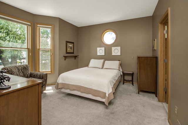 485 Preserve Path W, Saint Paul, MN 55118 - bedroom with light colored carpet
