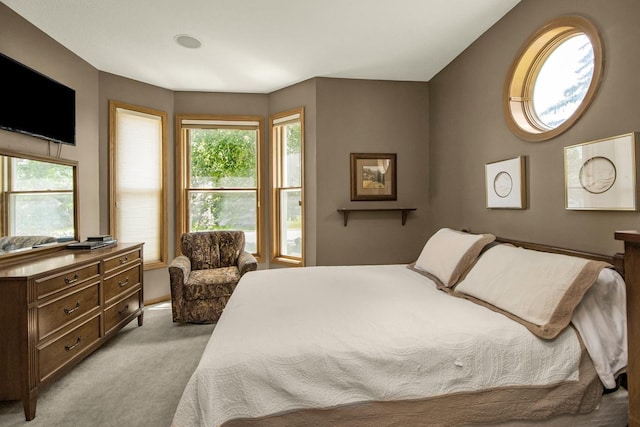 485 Preserve Path W, Saint Paul, MN 55118 - bedroom with light colored carpet