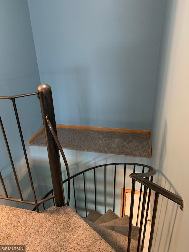 7236 72nd Ln N Unit 202, Brooklyn Park, MN 55428 - stairway with carpet