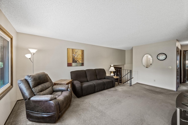4133 88th Ave NE, Blaine, MN 55014 - living area featuring carpet and a textured ceiling