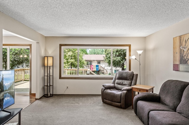 4133 88th Ave NE, Blaine, MN 55014 - living room featuring healthy amount of natural light, carpet floors, and a textured ceiling