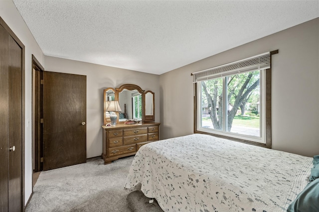 4133 88th Ave NE, Blaine, MN 55014 - bedroom featuring light carpet and a textured ceiling