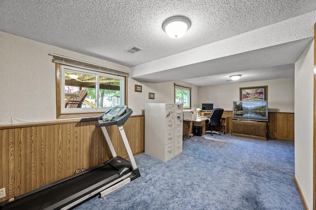 4133 88th Ave NE, Blaine, MN 55014 - office area featuring a wainscoted wall, a textured ceiling, carpet floors, and wood walls