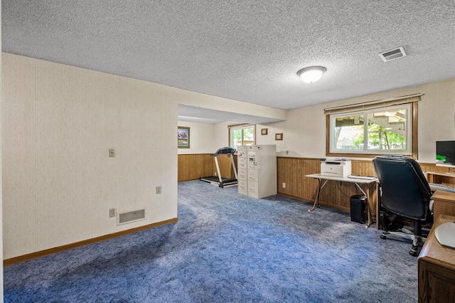 4133 88th Ave NE, Blaine, MN 55014 - office area with carpet flooring and a textured ceiling