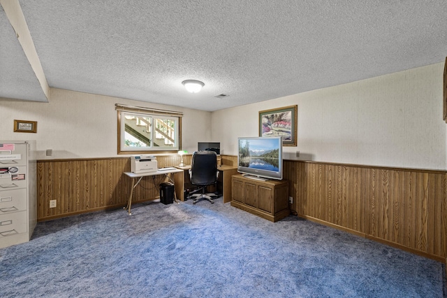 4133 88th Ave NE, Blaine, MN 55014 - carpeted home office with a wainscoted wall, a textured ceiling, and wooden walls