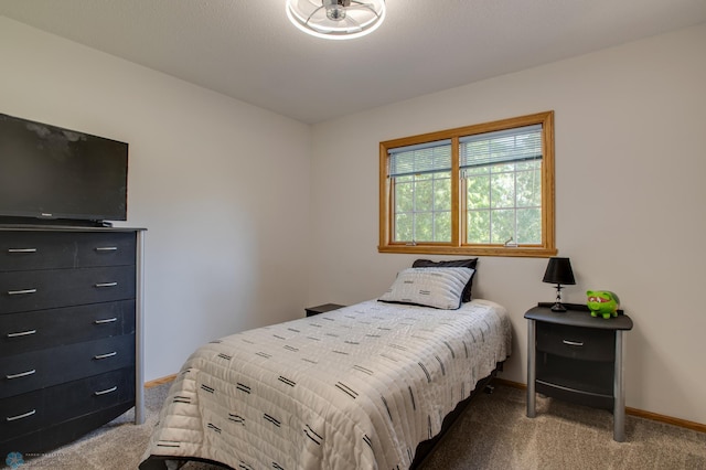 15544 60th Ave S, Riverton Twp, MN 56547 - carpeted bedroom with baseboards