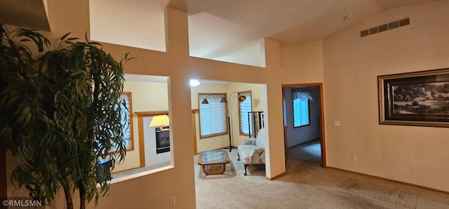 13046 Brookside Ln N, Rogers, MN 55374 - hall with carpet and high vaulted ceiling