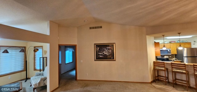 13046 Brookside Ln N, Rogers, MN 55374 - living area with lofted ceiling and light colored carpet