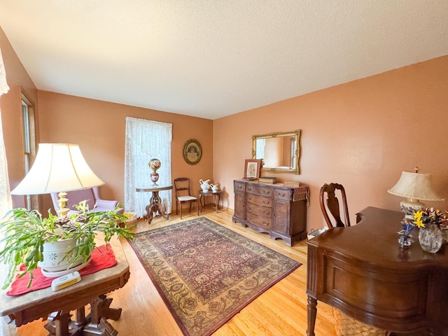 301 4th Ave SE, Pelican Rapids, MN 56572 - office with wood finished floors and a textured ceiling