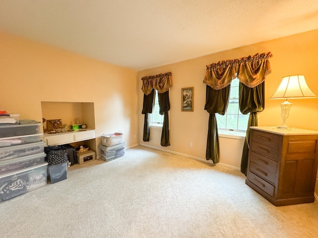 301 4th Ave SE, Pelican Rapids, MN 56572 - sitting room featuring light colored carpet