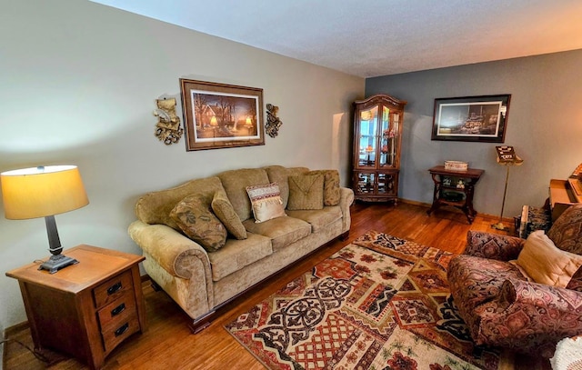 902 6th Ave SE, Pipestone, MN 56164 - living area featuring wood finished floors