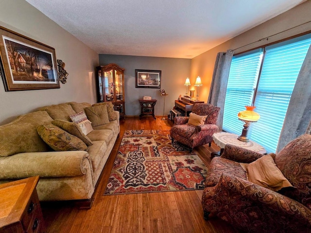 902 6th Ave SE, Pipestone, MN 56164 - living room with wood finished floors and a textured ceiling