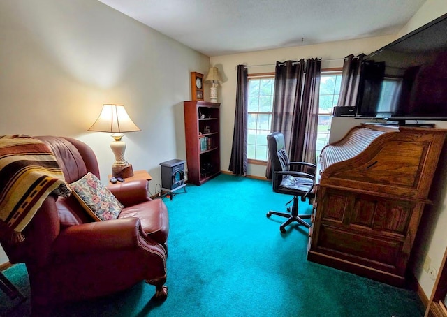 902 6th Ave SE, Pipestone, MN 56164 - carpeted home office with baseboards