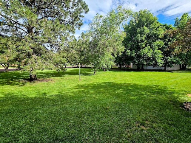 902 6th Ave SE, Pipestone, MN 56164 - view of green lawn