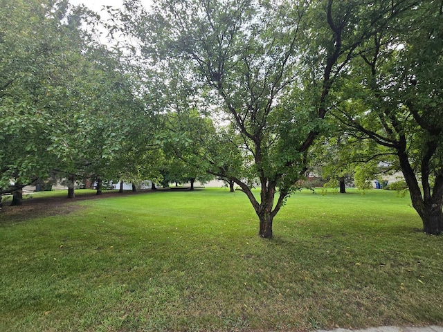 902 6th Ave SE, Pipestone, MN 56164 - view of green lawn