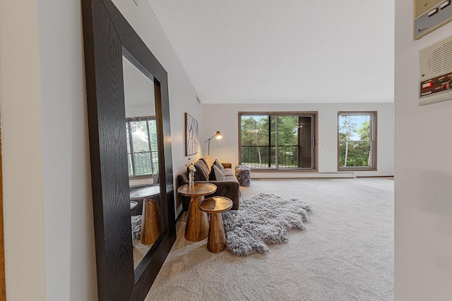 9700 Portland Ave S Unit 237, Bloomington, MN 55420 - living area with carpet, baseboard heating, and vaulted ceiling
