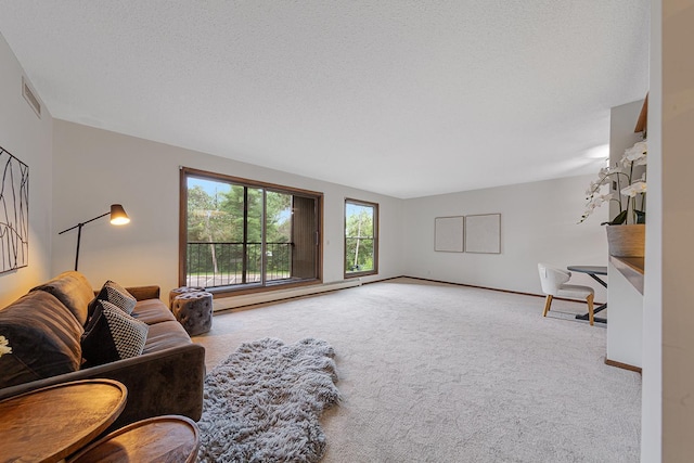 9700 Portland Ave S Unit 237, Bloomington, MN 55420 - living area with carpet flooring and baseboards