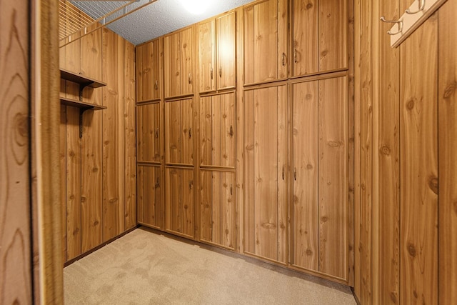 9700 Portland Ave S Unit 237, Bloomington, MN 55420 - spacious closet featuring carpet floors