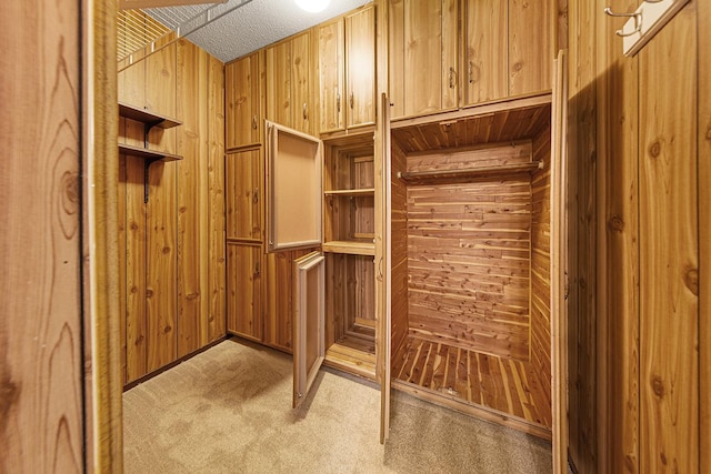9700 Portland Ave S Unit 237, Bloomington, MN 55420 - walk in closet with light colored carpet