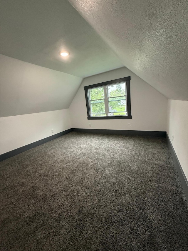 409 4th St W, Canby, MN 56220 - additional living space featuring carpet flooring, vaulted ceiling, and a textured ceiling