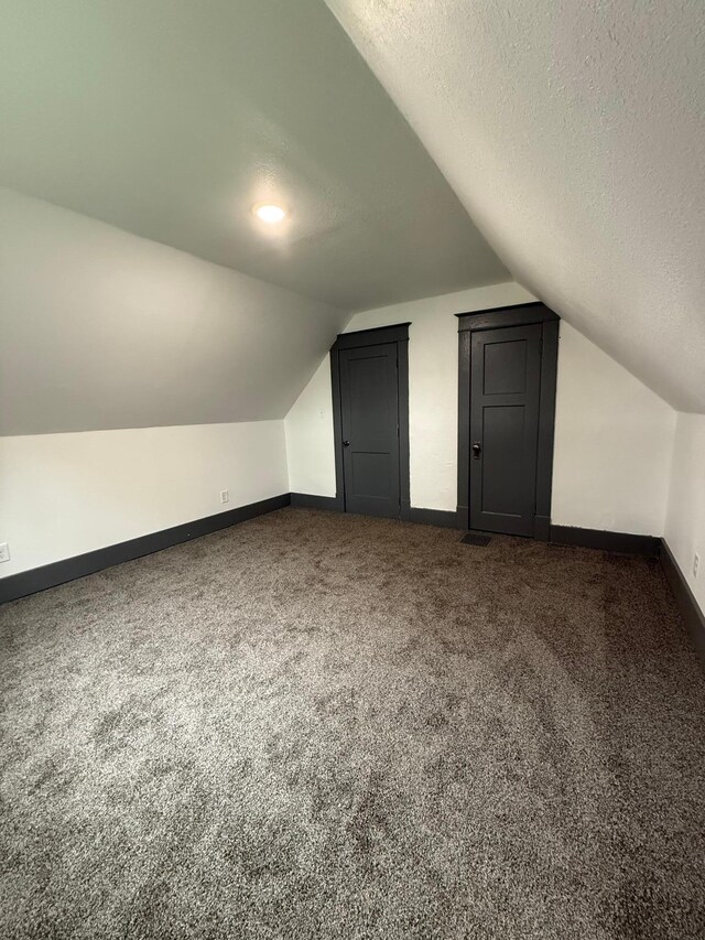 409 4th St W, Canby, MN 56220 - additional living space featuring vaulted ceiling, dark carpet, and a textured ceiling