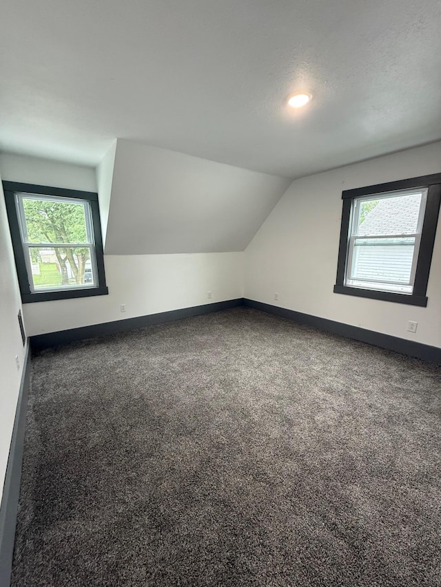 409 4th St W, Canby, MN 56220 - additional living space with lofted ceiling and carpet floors