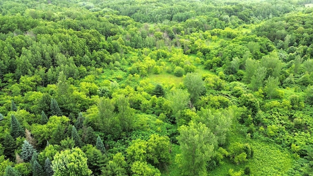 0000 35th St, Howard Twp, WI 54729