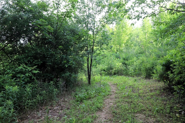 0000 35th St, Howard Twp, WI 54729