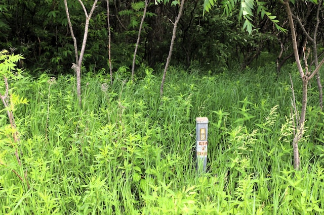 0000 35th St, Howard Twp, WI 54729