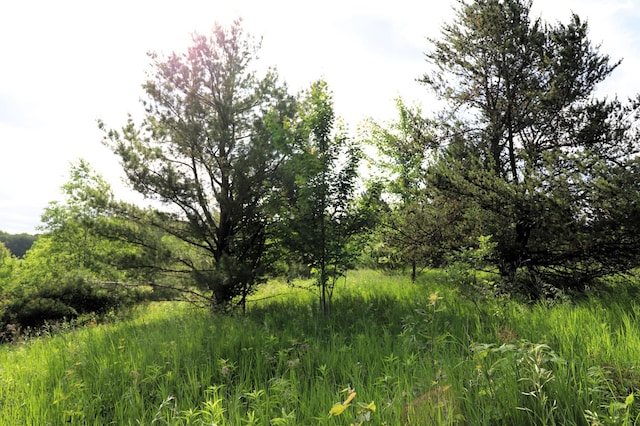 0000 35th St, Howard Twp, WI 54729